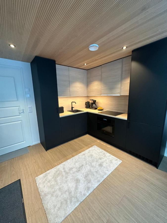 Levi Aurora Sky Vila Exterior foto