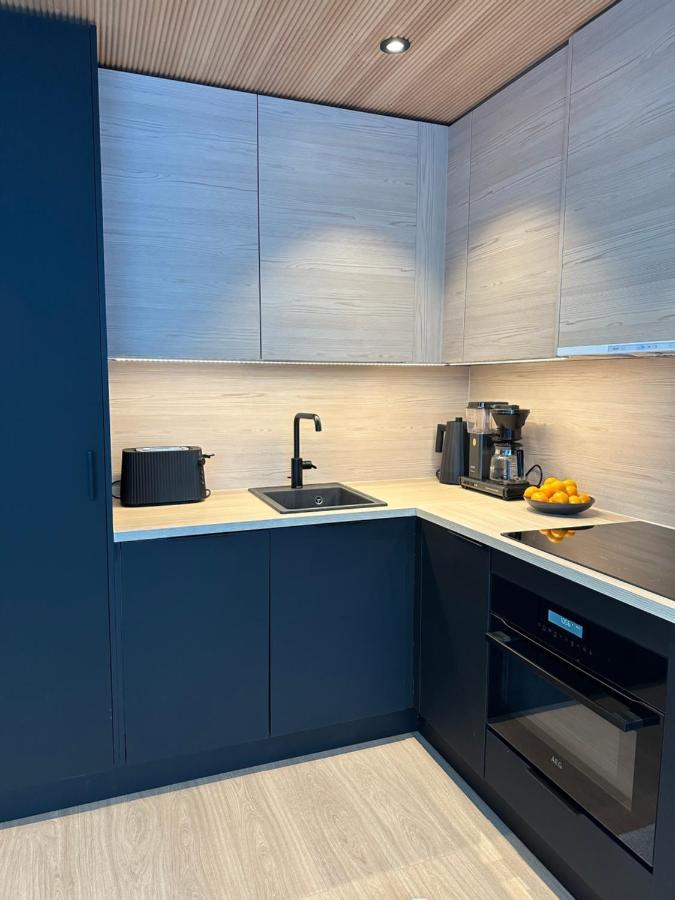 Levi Aurora Sky Vila Exterior foto
